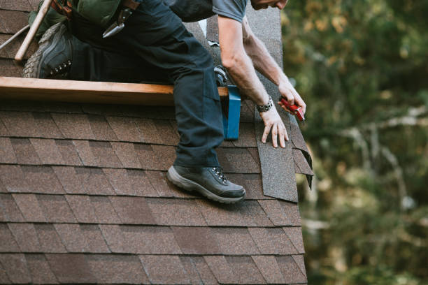 Best Emergency Roof Repair Services  in Elizabethton, TN